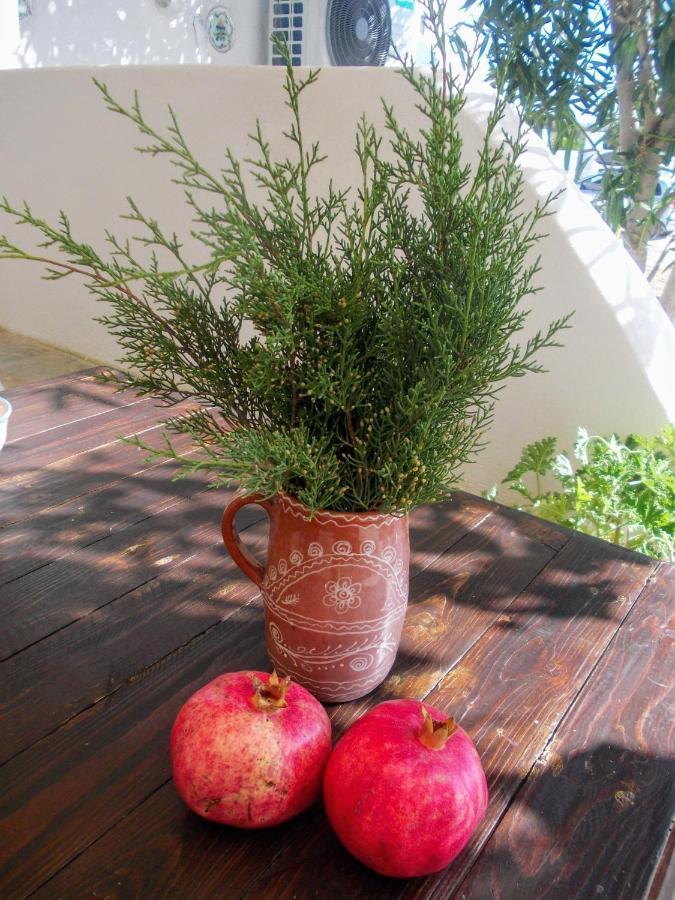 Nyfes Traditional Boutique Frosyni Skyros Esterno foto
