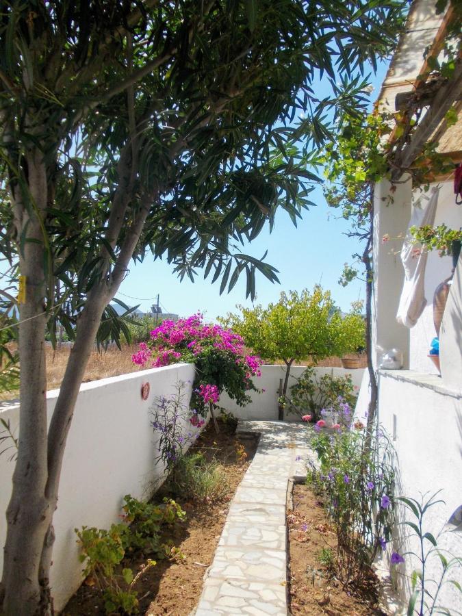 Nyfes Traditional Boutique Frosyni Skyros Esterno foto