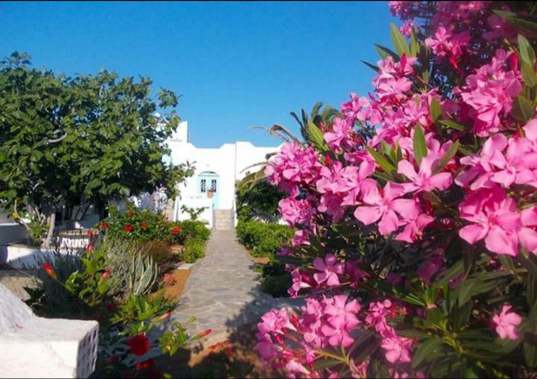 Nyfes Traditional Boutique Frosyni Skyros Esterno foto