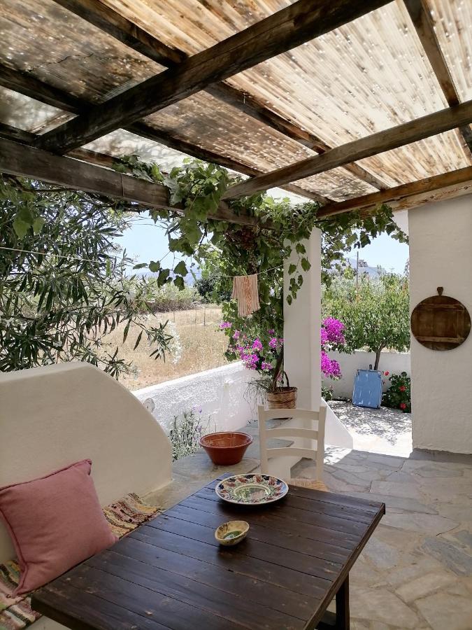 Nyfes Traditional Boutique Frosyni Skyros Esterno foto